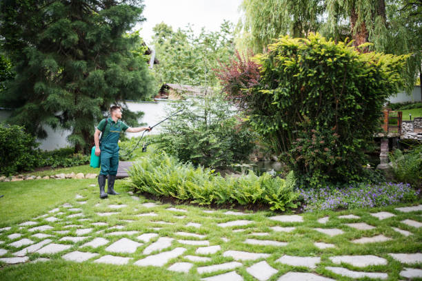 Best Bird Control  in Peabody, MA