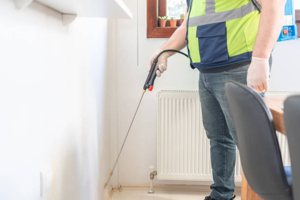 Best Affordable Pest Control Services  in Peabody, MA