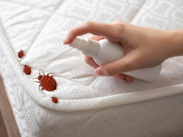 Best Commercial Pest Control Services  in Peabody, MA